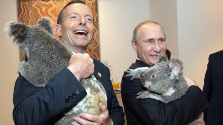 http://rt.com/news/205855-g20-abbott-putin-koala/